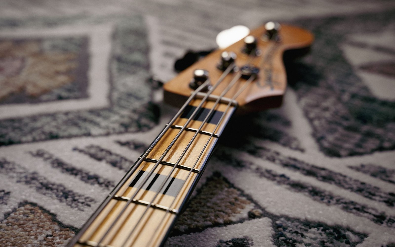 Four roundwound bass strings photographed close against a dark background, the nickel winding texture visible across the full frame, bridge saddles at the right edge